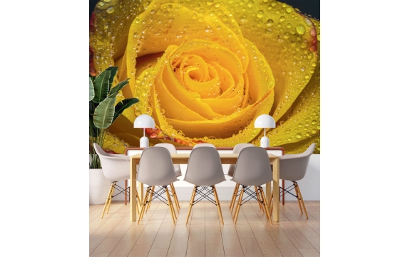 Фотообои M-00005 Желтая роза в каплях дождя №1