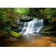 Фотообои AG Design 0478 FTS Лесной Водопад, 360 × 254 см, 4 листа №1