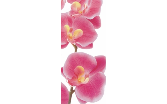 Фотообои AG Design 0027 FT Розовая Орхидея, 90 × 202 см, 1 лист