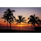 Фотообои Komar 8-307 «Гавайи» (Hawaii), 368 × 254 см, 8 листов №1