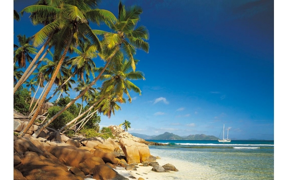 Фотообои Komar 8-093 «Тропический залив» (Tropical Bay), 368 × 254 см, 8 листов