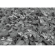Фотообои Komar 8-914 «Цветы в лесу» (Forest Floor), 368 × 254 см, 8 листов №1