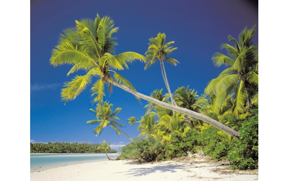 Фотообои Komar 8-884 «Острова Кука» (Cook Island), 368 × 254 см, 8 листов