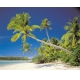 Фотообои Komar 8-884 «Острова Кука» (Cook Island), 368 × 254 см, 8 листов №1