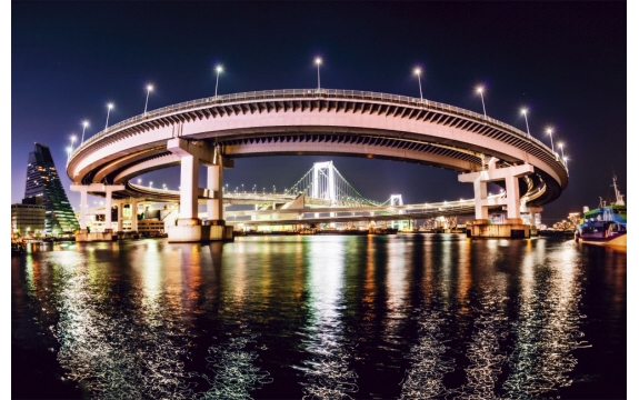 Фотообои FTS-02-00004 Ночной японский мост