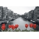 Фотообои FTS-02-00009 Красные тюльпаны на фоне черно-белого города №1