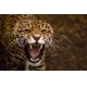 Фотообои FTS-03-00003 Рычащий леопард №1