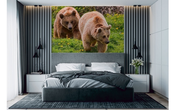 Фотообои FTS-03-00019 Два медведя №1