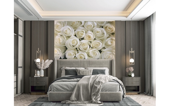 Фотообои FTS-06-00001 Крупные белые розы №1