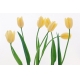 Фотообои FTS-06-00006 Желтые тюльпаны на белом фоне №1