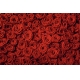 Фотообои FTS-06-00013 Красные розы №1