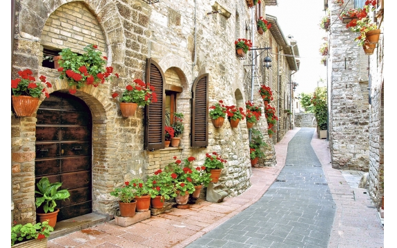 Фотообои FTL-04-00003 Городская улица в Италии, дорожка через старый город