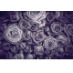 Фотообои FTL-06-00050 Темные розы №1