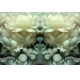 Фотообои 3D FTL-09-00009 Цветы лотоса из нефрита, стереоскопические №1
