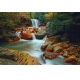 Фотообои FTL-01-00014 Водопад и река на камнях в джунглях, красивая природа №1