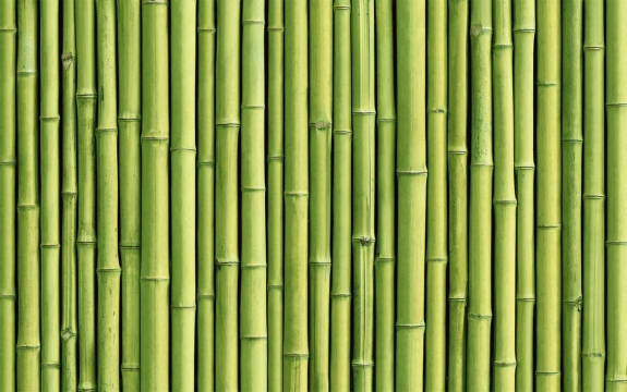 Фотообои FTXL-01-00007 Стена из бамбука