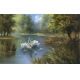 Фотообои FTXL-12-00010 Картина лебеди на озере в лесу №1