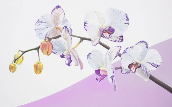 Фотообои FTXL-12-00016 Белые орхидеи