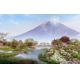 Фотообои FTXL-14-00030 Японская природа с видом на гору и реку №1