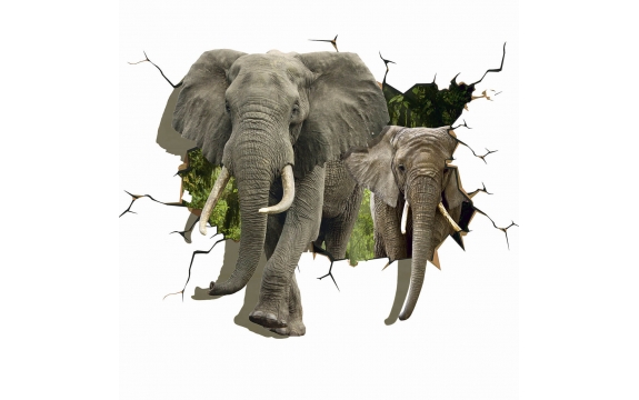 Фотообои 3D FTP-3-09-00076 Слоны сквозь стену
