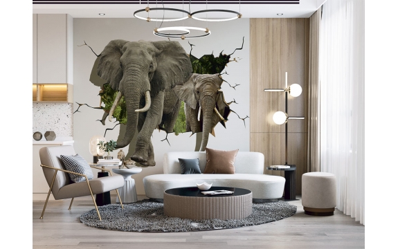 Фотообои 3D FTP-3-09-00076 Слоны сквозь стену №1