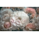 Фотообои MXL-00001 Розы в саду в черно-белом стиле №1