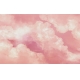 Фотообои MXL-00230 Розовые облака в небе №1