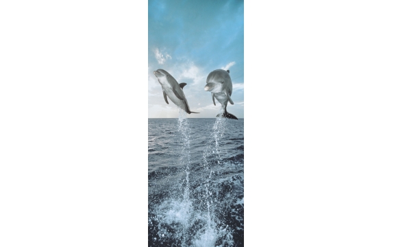 Фотообои Komar 2-1203 «Дельфины» (Dolphins), 97 × 220 см, 2 листа