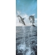 Фотообои Komar 2-1203 «Дельфины» (Dolphins), 97 × 220 см, 2 листа №1