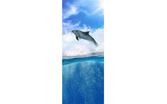Фотообои FTV-03-00004 Дельфин над морем
