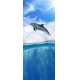 Фотообои FTV-03-00004 Дельфин над морем №1
