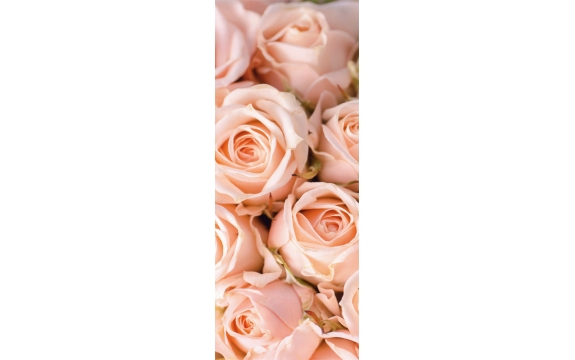 Фотообои FTV-06-00001 Большие розовые розы