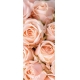 Фотообои FTV-06-00001 Большие розовые розы №1