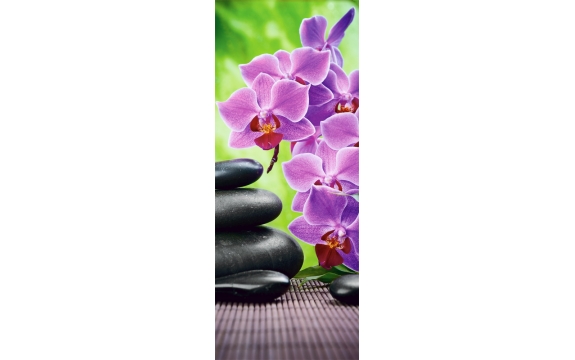 Фотообои FTV-06-00003 Орхидеи и камни