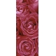 Фотообои FTV-06-00006 Крупные красные розы в росе №1