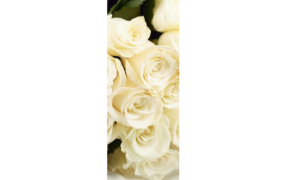 Фотообои FTV-06-00010 Белые розы в букете