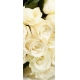 Фотообои FTV-06-00010 Белые розы в букете №1
