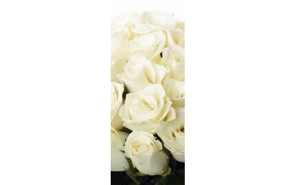 Фотообои FTV-06-00011 Букет из белых роз