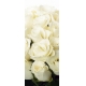 Фотообои FTV-06-00011 Букет из белых роз №1