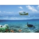 Фотообои Твоя Планета «Водный Мир», Люкс, 272 × 194 см, 8 листов №1