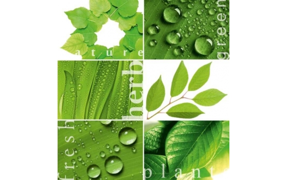 Фотообои Твоя Планета «Зеленая Мозаика», Премиум, 194 × 204 см, 6 листов