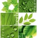 Фотообои Твоя Планета «Зеленая Мозаика», Премиум, 194 × 204 см, 6 листов №1