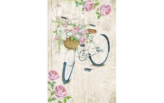 Фотообои FTP-2-12-00029 Розы на велосипеде, винтажный сюжет