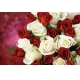 Фотообои FTL-06-00051 Розы красные и белые в букете №1