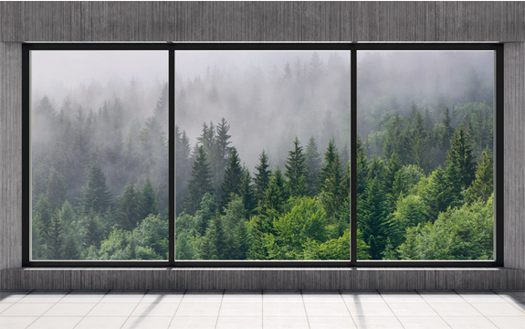Фотообои MXL-00290 Оконная панорама с туманным лесом