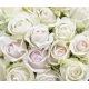 Фотообои FTX-06-00005 Розы в белых и розоватых тонах №1