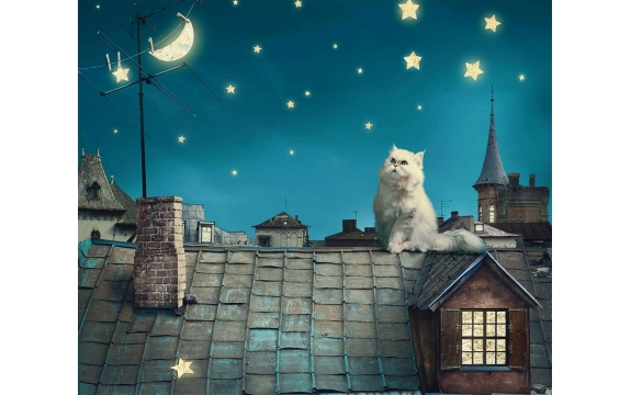 Фотообои FTX-10-00001 Лунный кот, звездное небо для детской
