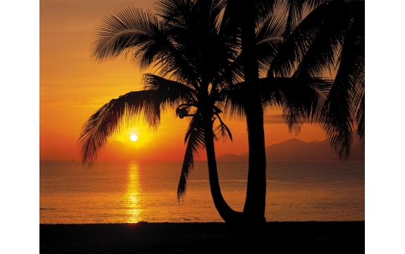 Фотообои Komar 8-255 «Восход солнца на пляже» (Palmy Beach Sunrise), 368 × 254 см, 8 листов