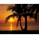 Фотообои Komar 8-255 «Восход солнца на пляже» (Palmy Beach Sunrise), 368 × 254 см, 8 листов №1