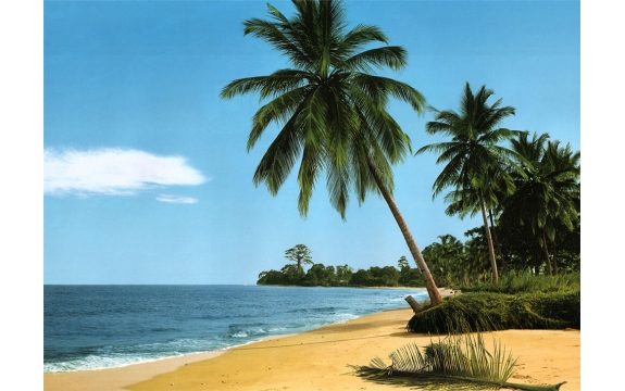 Фотообои Komar 8-074 «Африканский пляж» (African Beach), 388 × 270 см, 8 листов